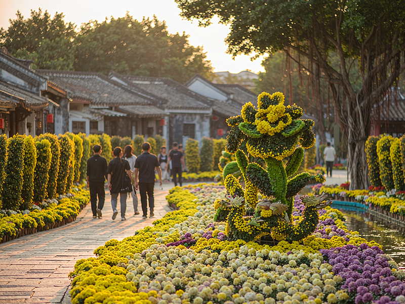 菊花园内花海与菊艺造景,傍晚暖光下的游园步道